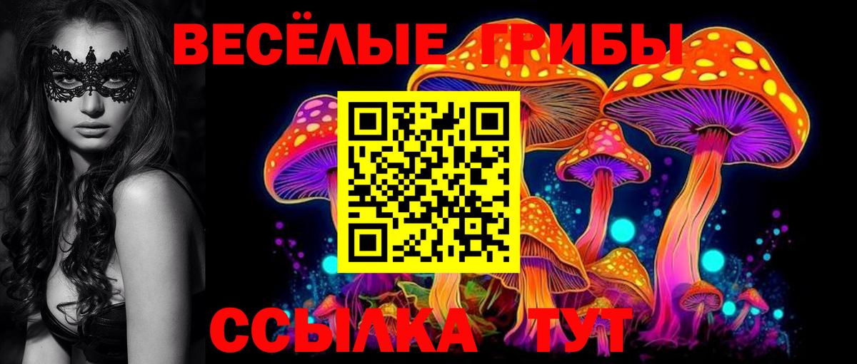 Псилоцибиновые грибы GOLDEN TEACHER Сергиев Посад